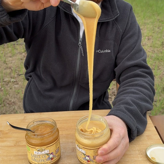 Miele Cremoso Biologico